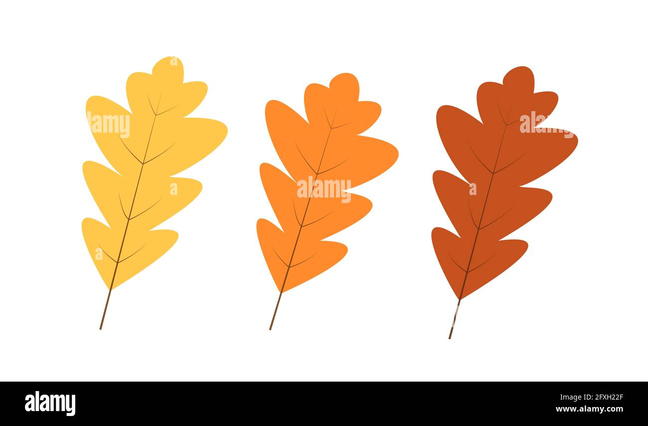 Feuilles de chêne jaune et brun d'automne isolées sur blanc, illustration vectorielle de la chute des feuilles d'automne Banque D'Images Feuilles de chêne jaune et brun d'automne isolées sur blanc, illustration vectorielle de la chute des feuilles d'automne Banque D'Images