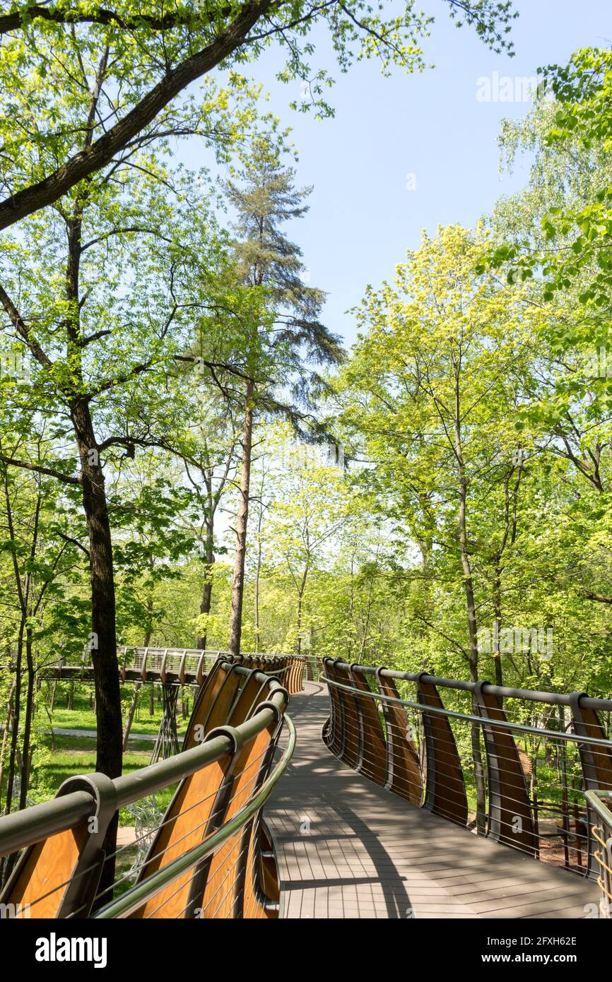 Russie, Moscou: Sentier écologique aérien parmi les couronnes d'arbres, parc VDNH, printemps. Banque D'Images