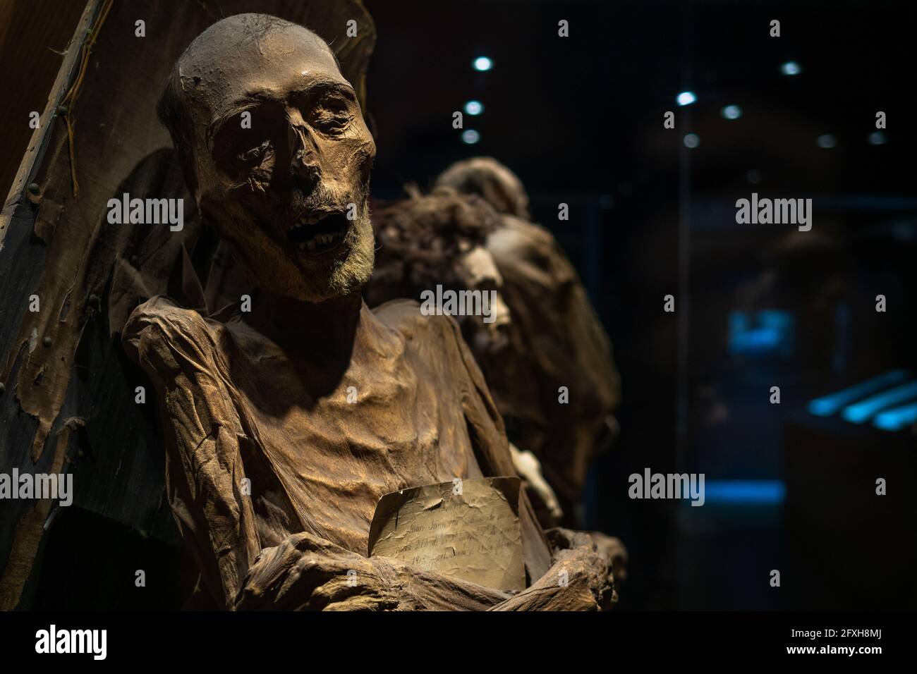 Corps momifié au Musée des momies de Guanajuato, la plus grande collection de momies naturelles au monde, à Guanajuato, au Mexique. Banque D'Images