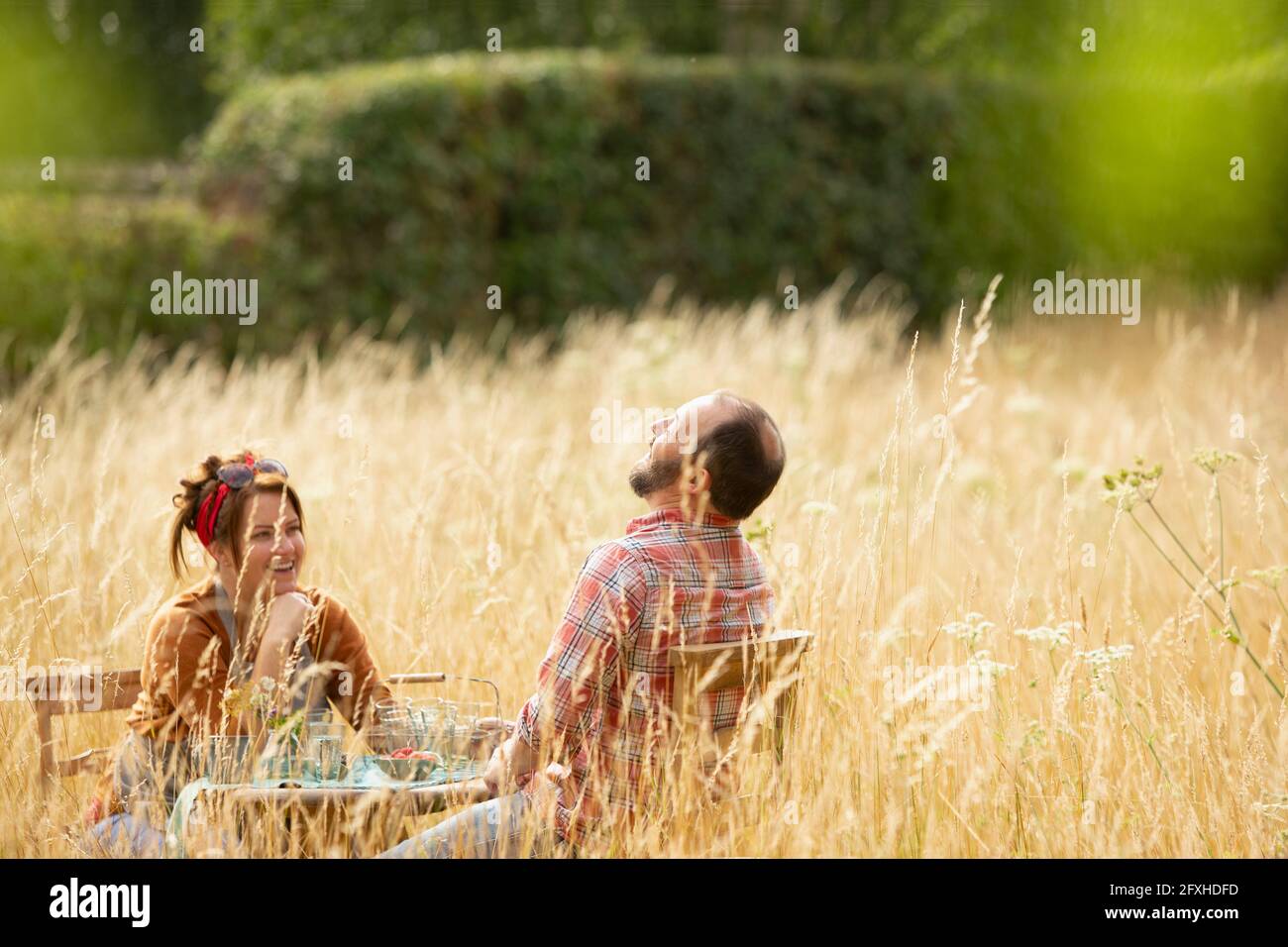 Couple heureux en train de rire à table dans le champ de l'herbe haute ensoleillée Banque D'Images Couple heureux en train de rire à table dans le champ de l'herbe haute ensoleillée Banque D'Images
