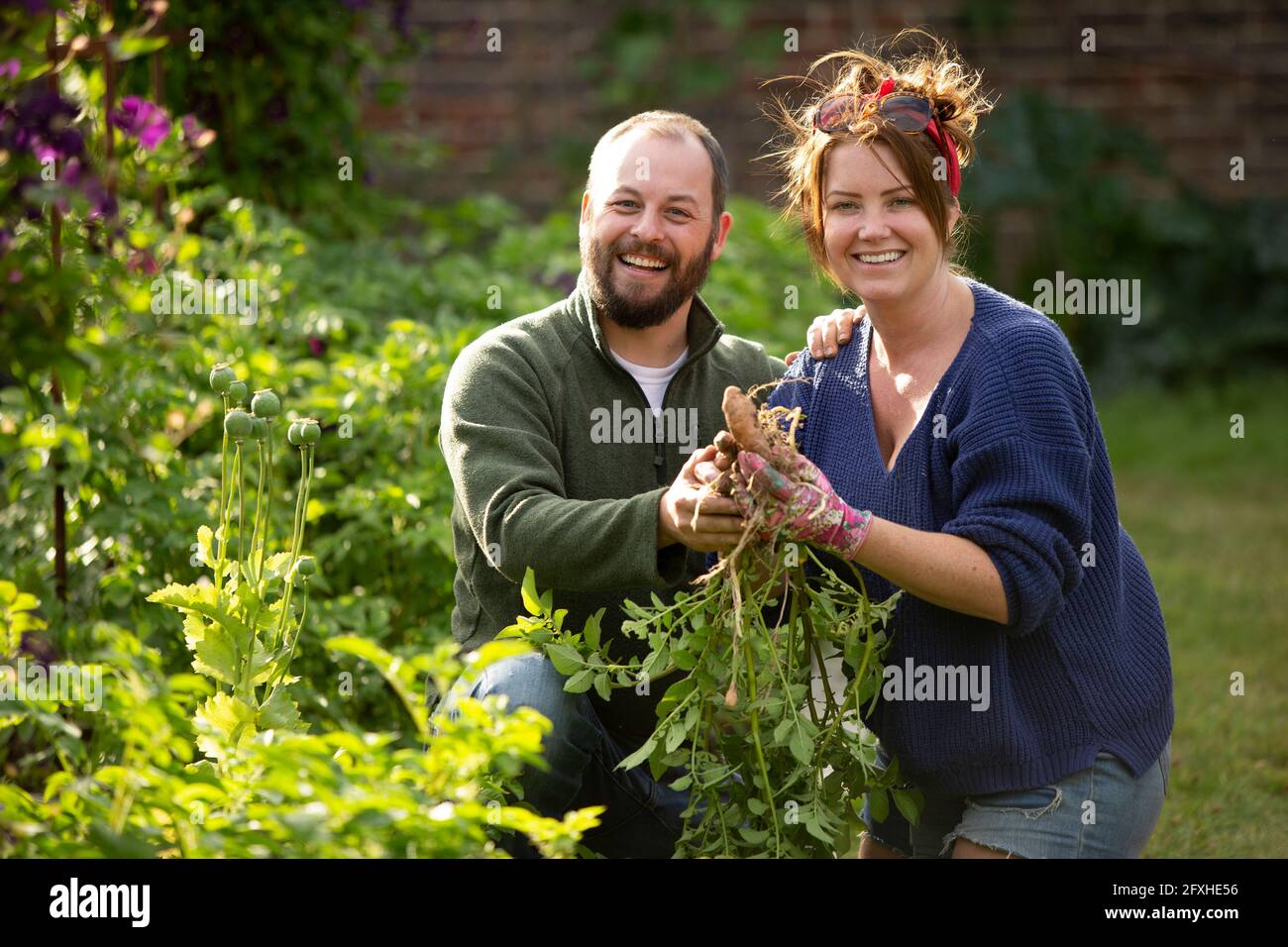 Portrait couple heureux récolte des légumes frais dans le jardin ensoleillé Banque D'Images Portrait couple heureux récolte des légumes frais dans le jardin ensoleillé Banque D'Images