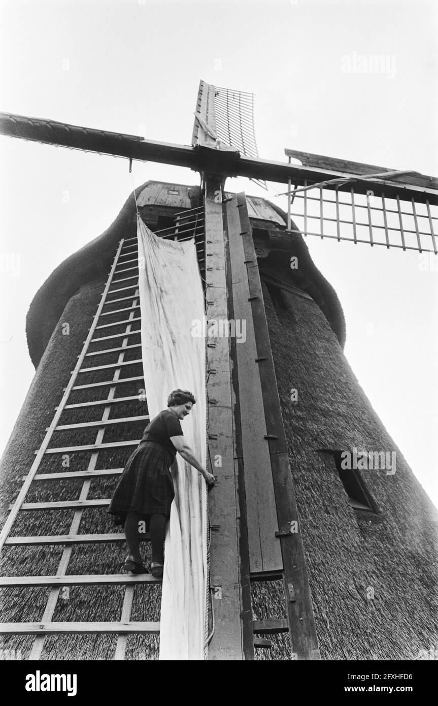 Voile de moulin Banque dimages noir et blanc image