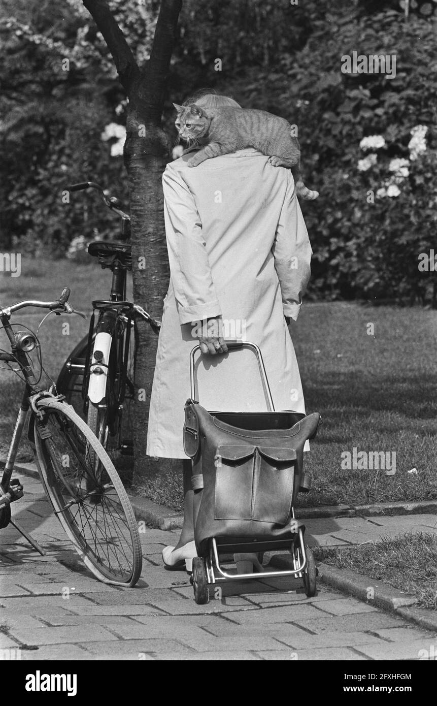 Femme prend le chat à l'arrière pendant le voyage de shopping, 7 août 1978, APPELS, chats, Femmes, pays-Bas, Agence de presse du XXe siècle photo, nouvelles à retenir, documentaire, photographie historique 1945-1990, histoires visuelles, L'histoire humaine du XXe siècle, immortaliser des moments dans le temps Banque D'Images