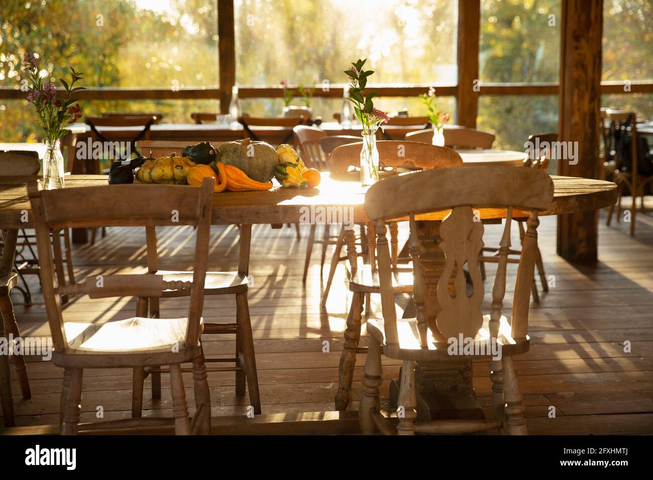 Citrouilles et gourdes d'automne sur table dans un restaurant rustique ensoleillé Banque D'Images