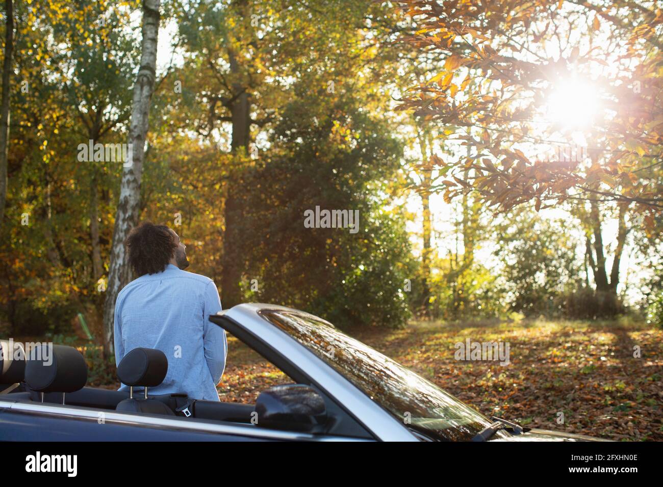 Homme dans un parc d'automne ensoleillé Banque D'Images