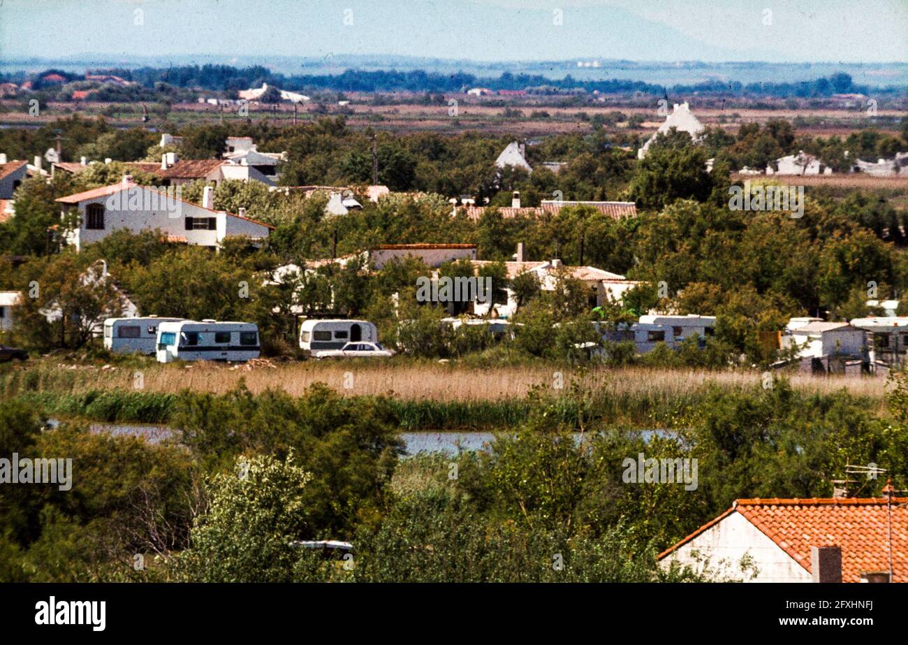 La coexistence pacifique est la coutume des Saintes-Maries-de-la-Mer depuis des années. Saintes-Maries-de-la-Mer, France Banque D'Images