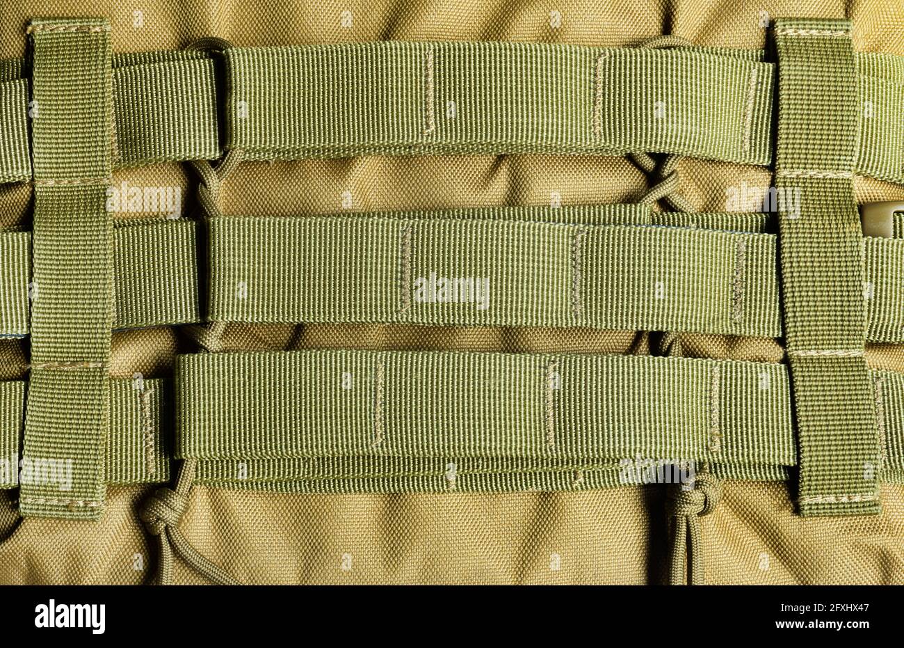 Photo d'un gilet blindé militaire couleur olive système molle. Banque D'Images
