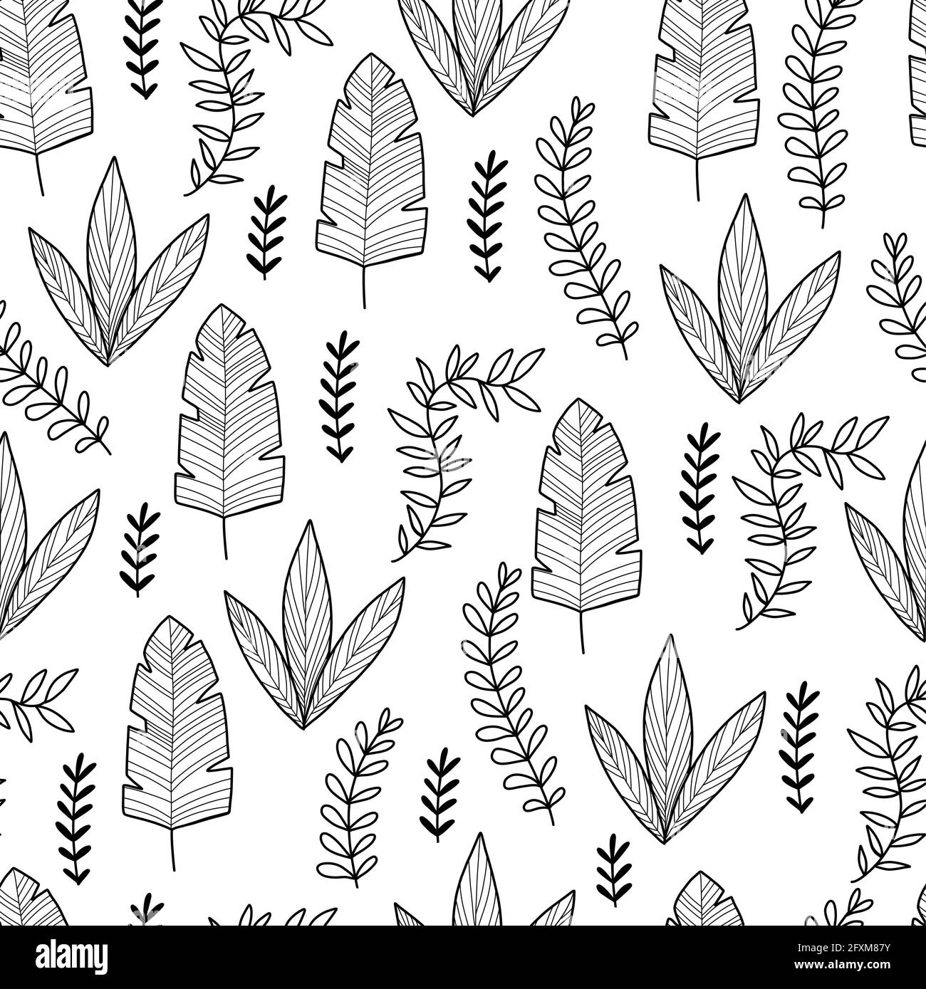 Motif floral monochrome dessiné à la main sans couture avec de magnifiques fleurs sauvages vintage, herbes et plantes herbacées sur fond blanc. Vecteur botanique Illustration de Vecteur