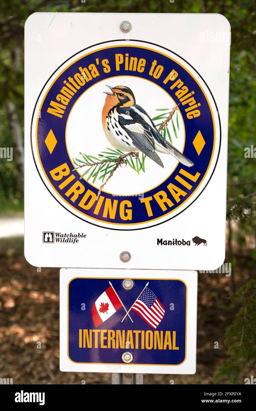 Panneau pour le sentier Pine to Prairie Birding Trail à Winnipeg, Canada. Banque D'Images