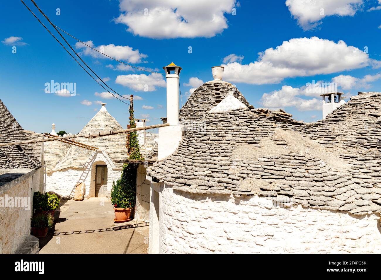 Maisons traditionnelles de Trulli blanchies à la chaux, Alberobello, site classé au patrimoine mondial de l'UNESCO, province de Bari, Pouilles, Italie, Europe Banque D'Images