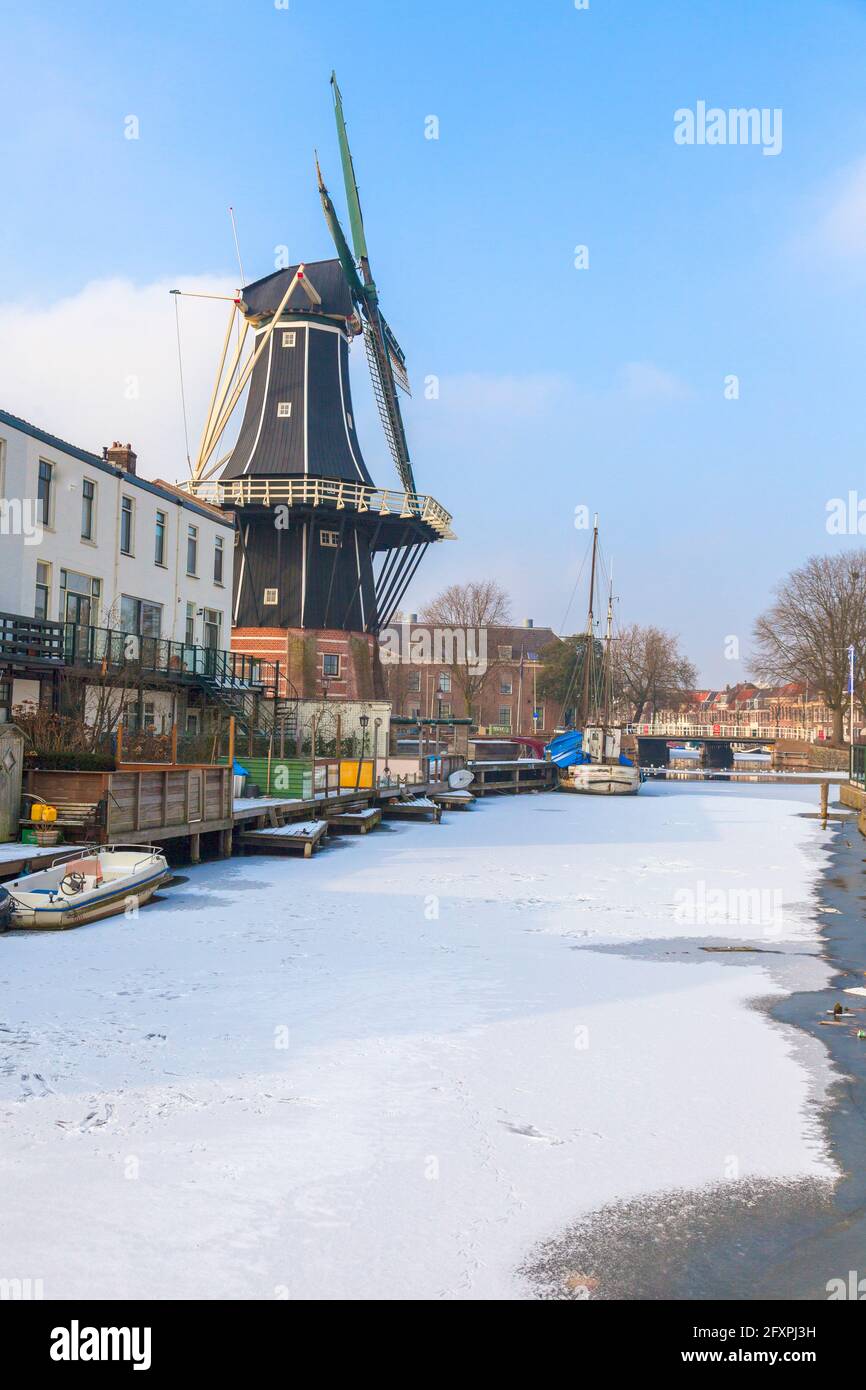 Moulin de Adriaan le long du canal gelé de la rivière Spaarne, Haarlem, quartier d'Amsterdam, Hollande du Nord, pays-Bas, Europe Banque D'Images