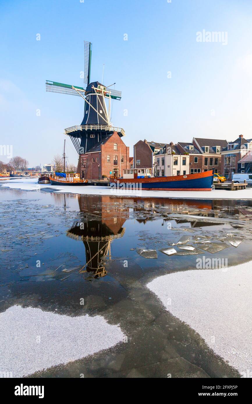 Moulin de Adriaan se reflète dans le canal de la rivière glacée Spaarne, Haarlem, quartier d'Amsterdam, Hollande du Nord, pays-Bas, Europe Banque D'Images