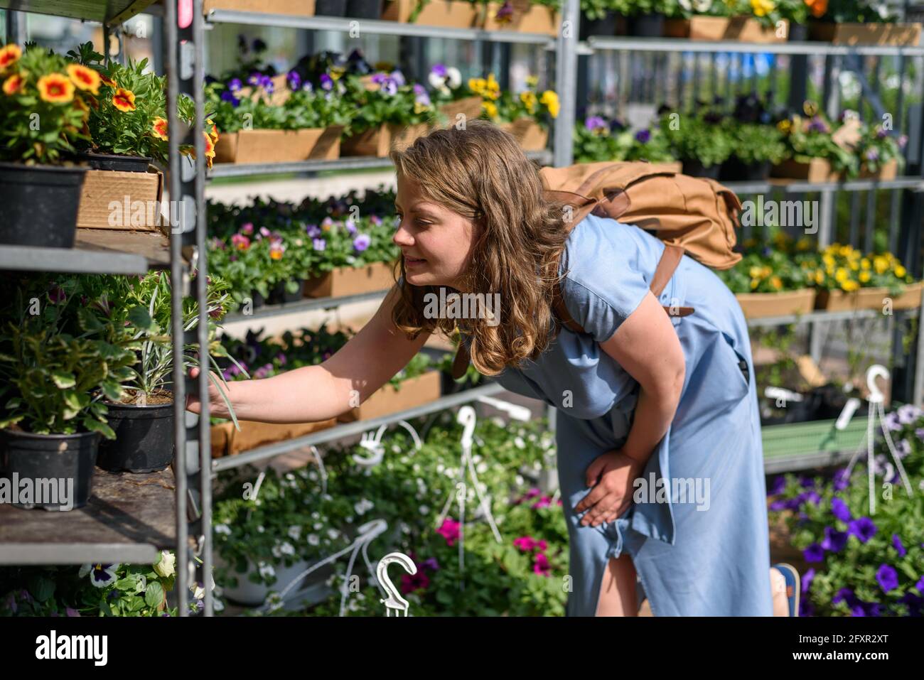 Femme choisissant des fleurs de jardin sur le marché des fermiers à la journée ensoleillée Banque D'Images