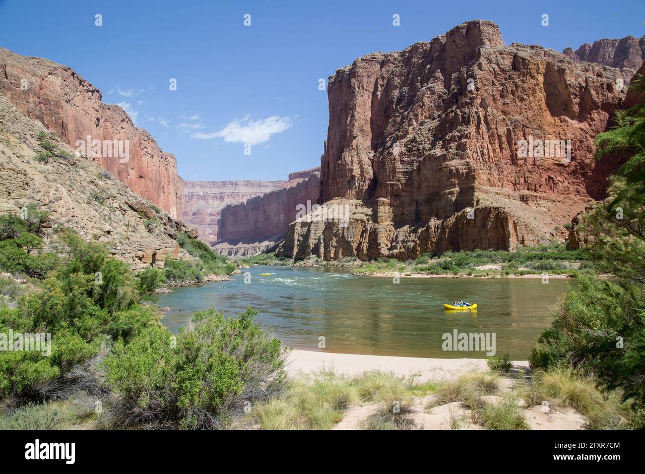 Le long du fleuve Colorado traverse le Grand Canyon, Arizona, États-Unis d'Amérique, Amérique du Nord Banque D'Images