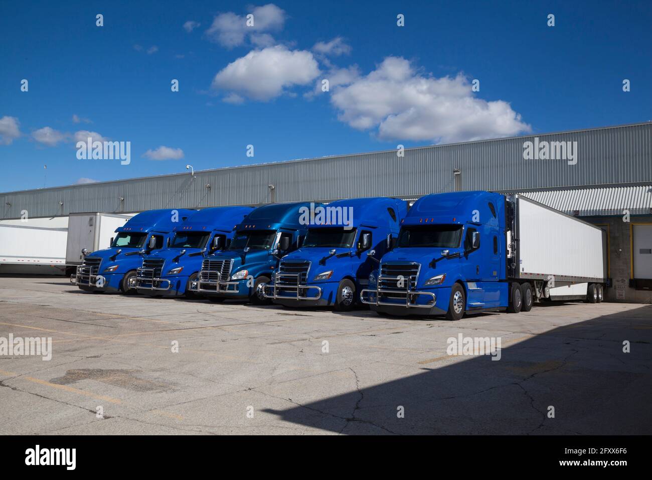 Blue transport Trucks alignés dans le Yard d'un Entrepôt Banque D'Images