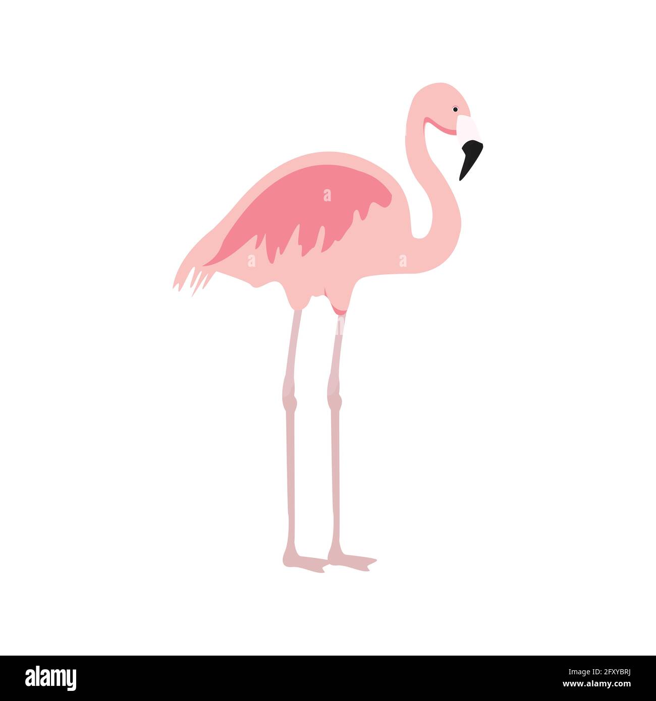 Vector illustration flamant rose. Des oiseaux exotiques. Flamingo Cool design plat décoratif élément. Belle flamingo Illustration de Vecteur