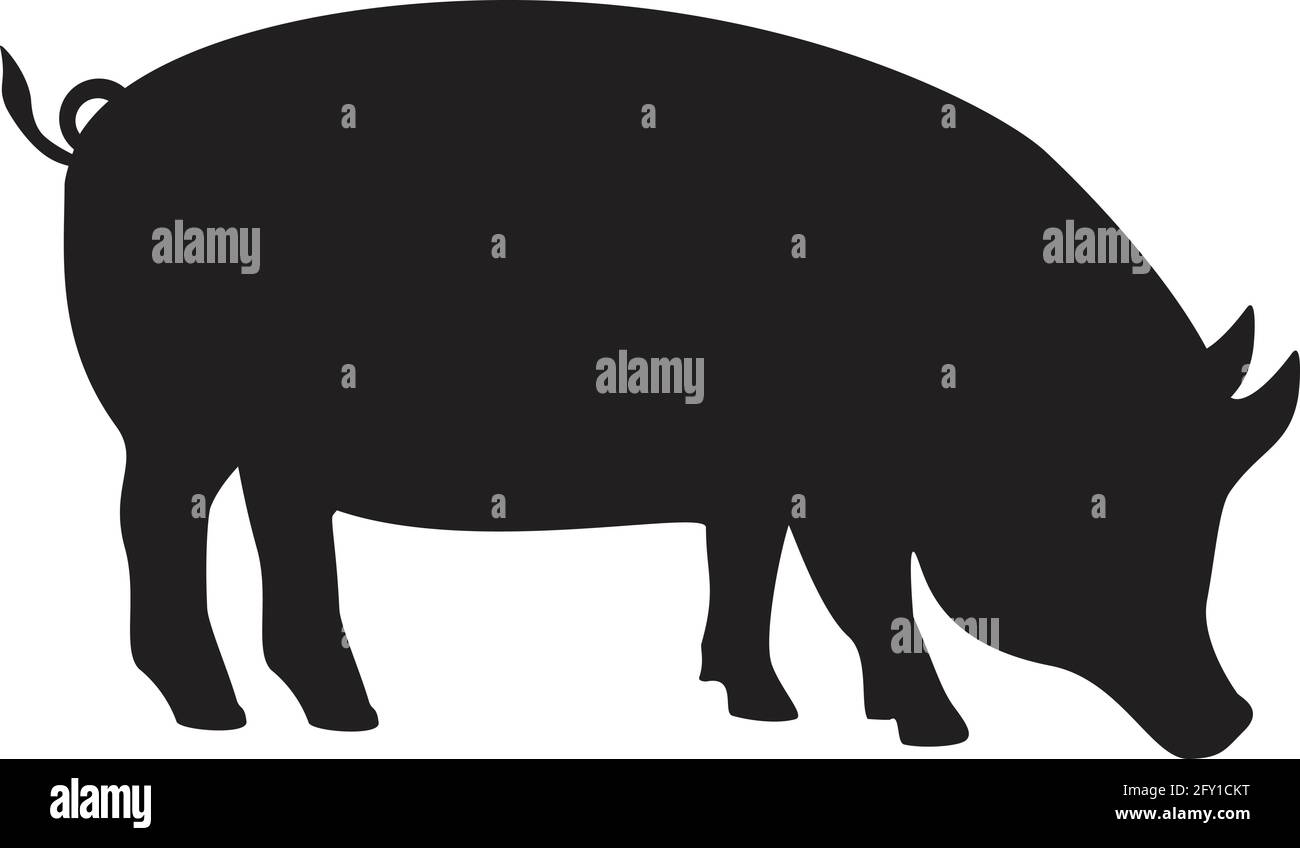 Côté silhouette de porc vectoriel. Icône d'animal de porc isolée sur fond blanc. Ferme porcine Illustration de Vecteur