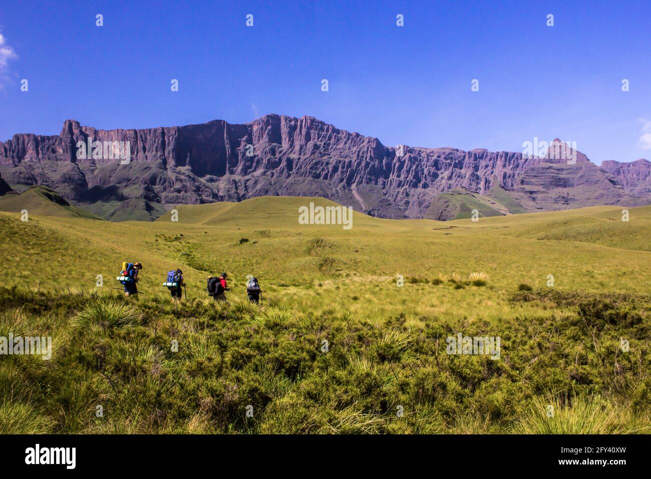 Randonneurs dans la prairie alpine d'Afro des montagnes du Drakensberg, en Afrique du Sud, avec les majestueuses falaises de basalte qui s'élèvent en arrière-plan. Ces ico Banque D'Images