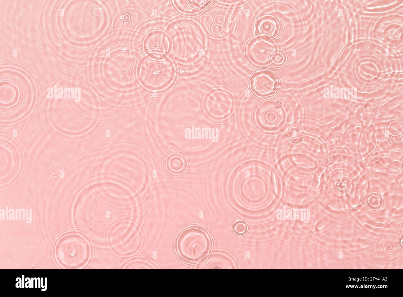 rose transparent eau transparente texture de surface été fond Banque D'Images