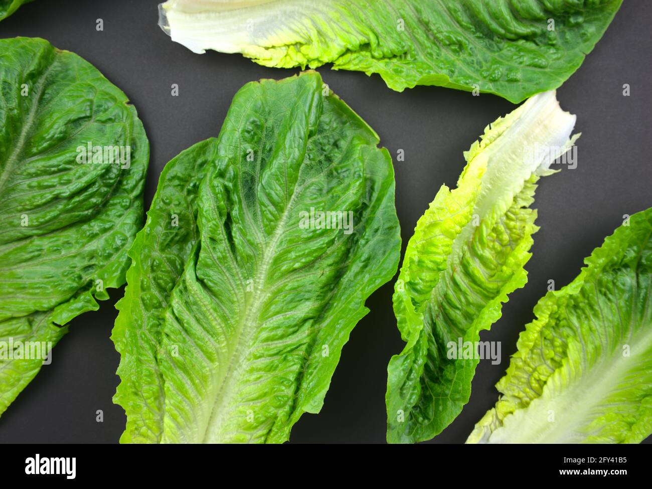 Laitue romaine ou cos fraîche, plat de légume vert feuilles sur fond noir. Vue de dessus, style d'image horizontal. Banque D'Images