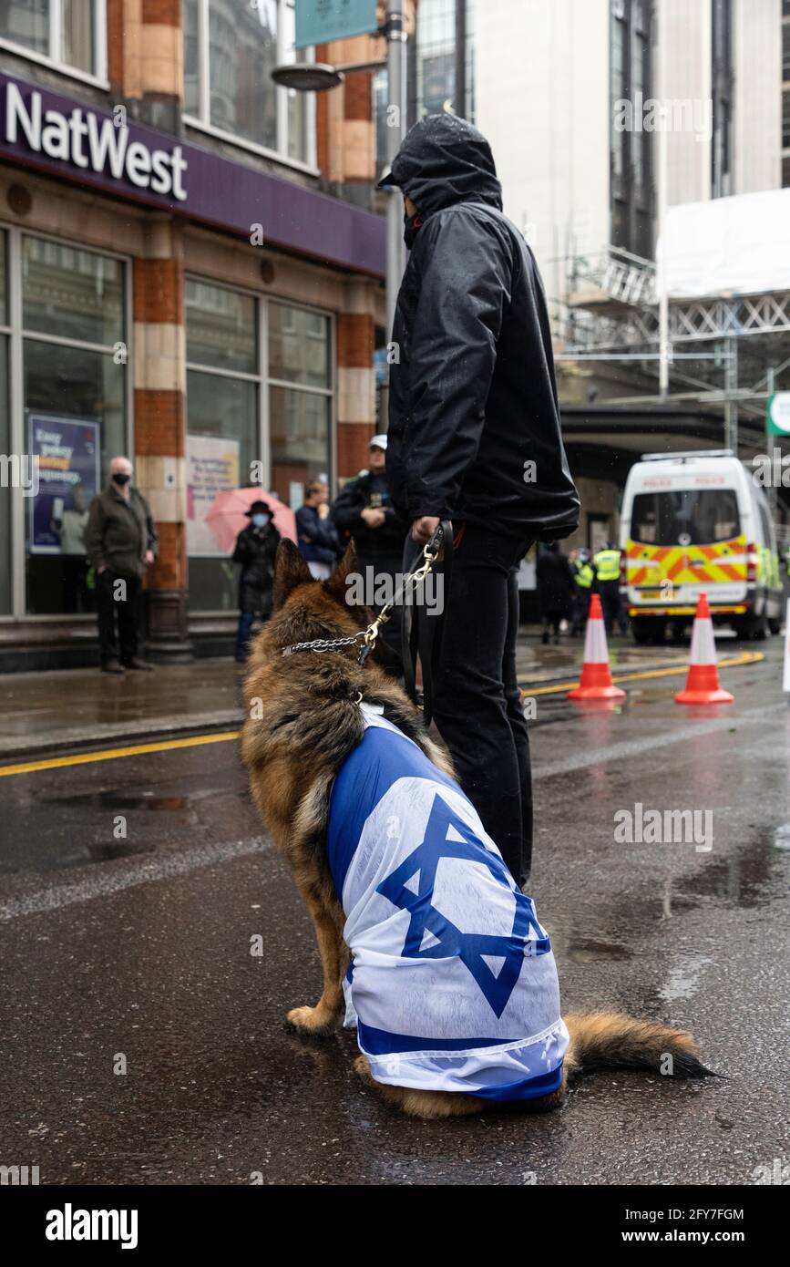 Manifestant avec un chien drapé avec le drapeau israélien, manifestation sioniste, Ambassade d'Israël, Londres, 23 mai 2021 Banque D'Images