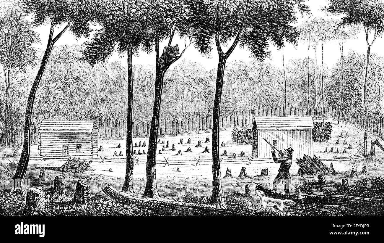 1800S 1812 HOMESTEAD FERME CABANE EN RONDINS FERMIER PIONNIER DE TIR OURS DANS UN ARBRE ROCHESTER NEW YORK USA - O3418 LAN001 BÂTIMENTS HARS HUNTER CABINE 1800 AGRICULTURE B&W PIONNIER LARGE ANGLE 1812 MAMMIFÈRES AVENTURE DANGEREUX LOG COURAGE CANINES EXCITATION AGRICULTEURS PIONNIERS DE LA FRONTIÈRE HOMESTEAD UP FLINTLOCK MAISONS OCCUPATIONS POCH NOUVEAU CONCEPTUEL YORK BEARS RÉSIDENCE VISANT ROCHESTER CANINE AUTORISÉ ARMES À FEU TERRAIN MAMMIFÈRES COLONS COLONS FAUNE NOIR ET BLANC ANCIEN MODE Banque D'Images