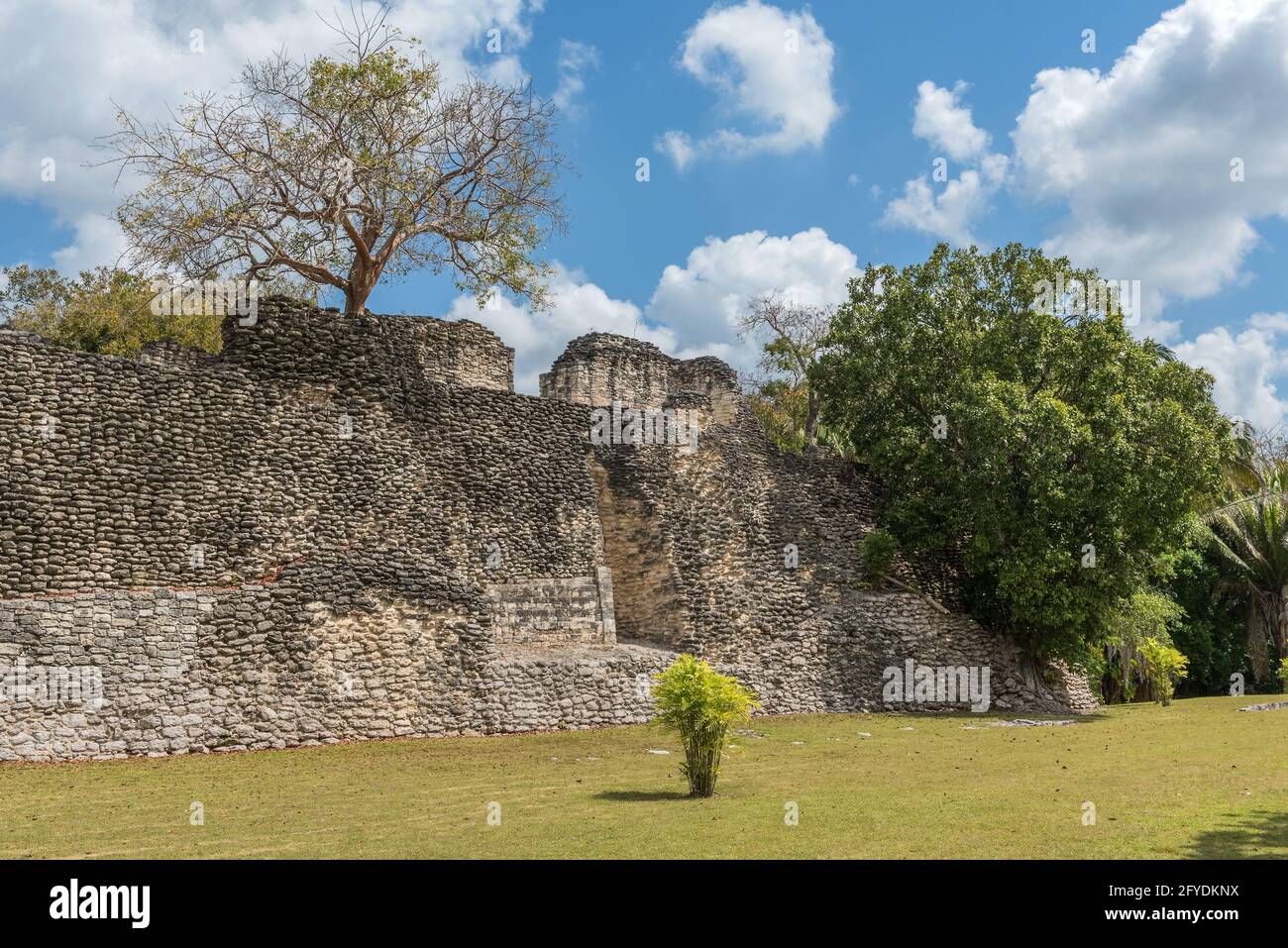 Les ruines de l'ancienne ville maya de Kohunlich, Quintana Roo, Mexique Banque D'Images