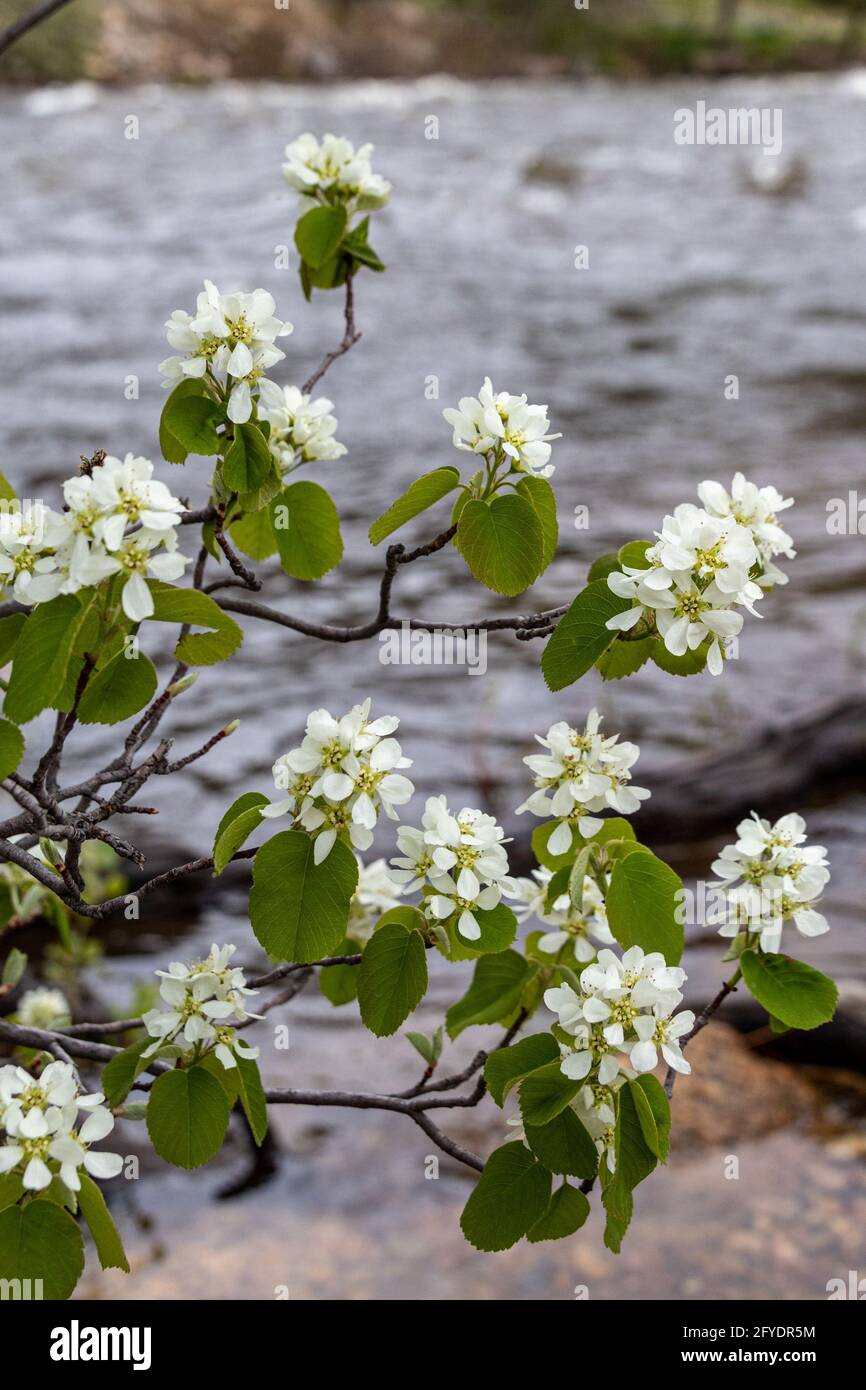 Powder River Banque D'Images