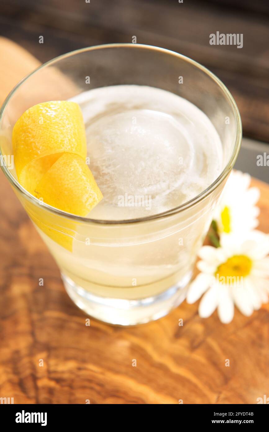 Un cocktail de genoux d'abeille, de la vodka ou du gin au citron et au miel, garni de zeste de citron avec un peu de Marguerite. Banque D'Images