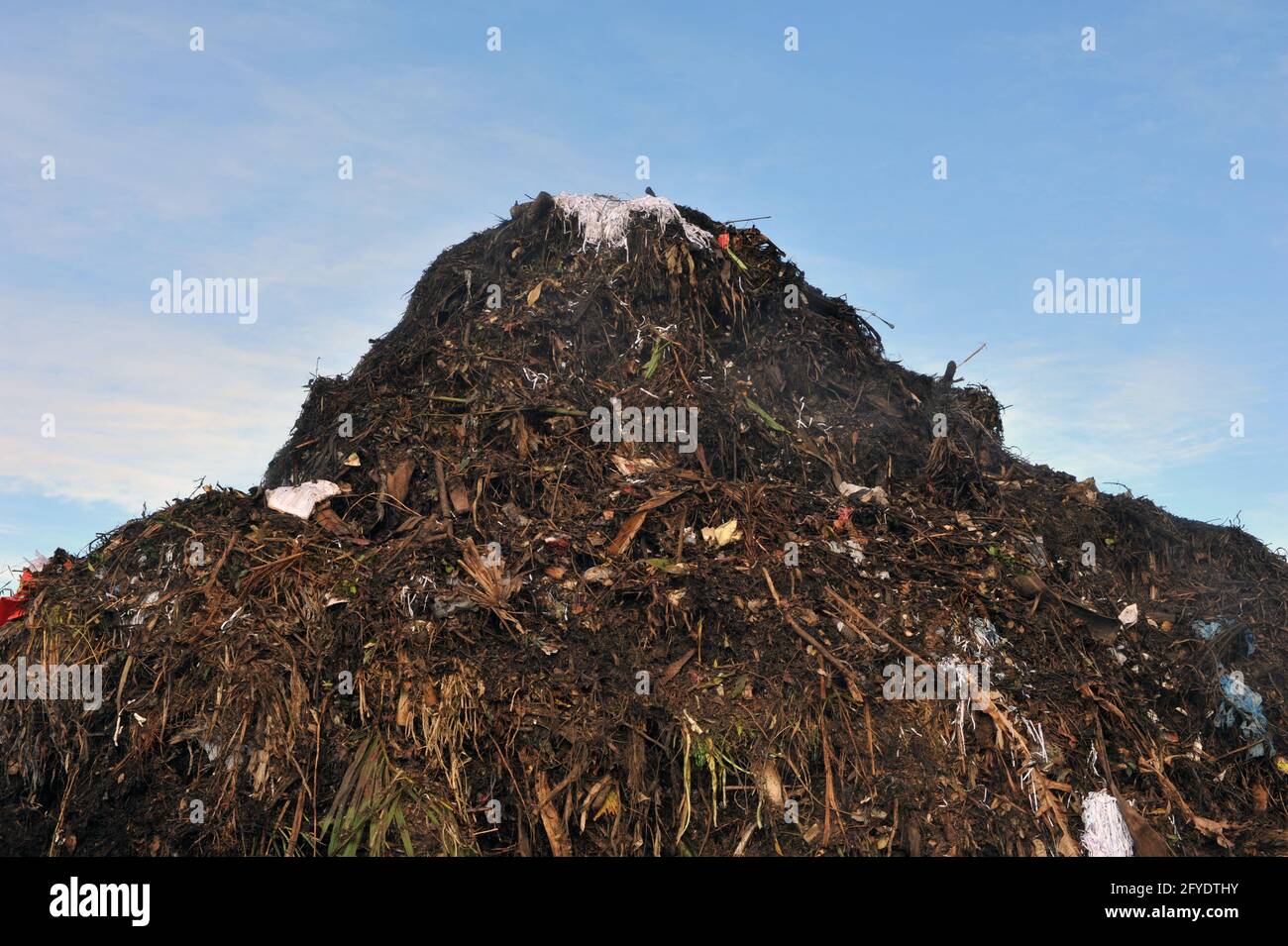 Centre de recyclage Australie Banque D'Images