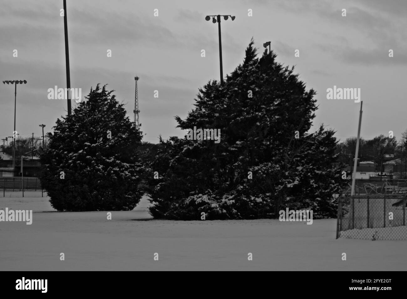 Chute de neige dans South East City Park, Canyon, Texas. Banque D'Images