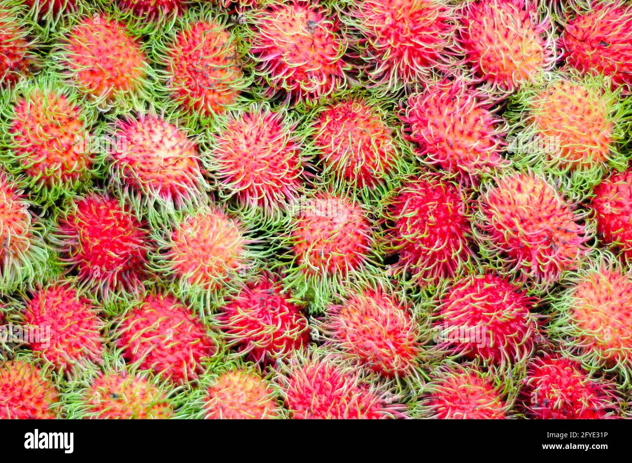 Rambutan frais dans le marché Banque D'Images