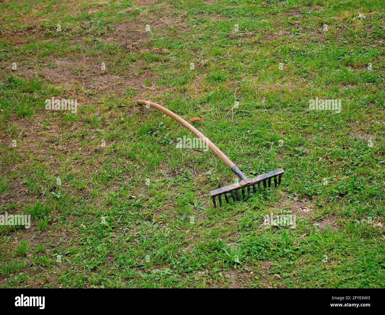 Ancien râteau en métal rouillé d'époque avec une poignée en bois sur le sol avec de l'herbe verte, vue d'en haut Banque D'Images