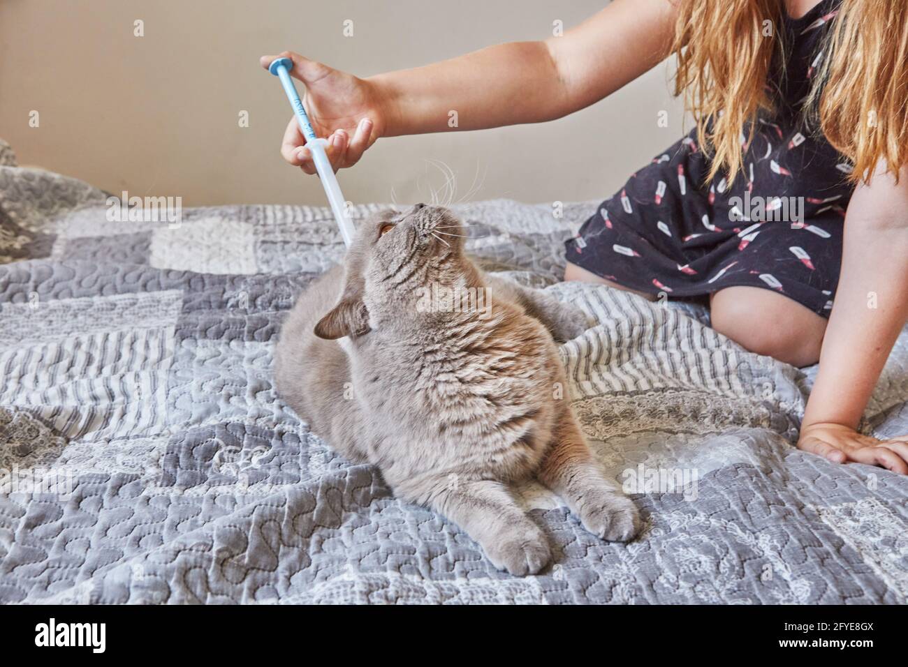 Piqure De Puce Banque D Image Et Photos Alamy