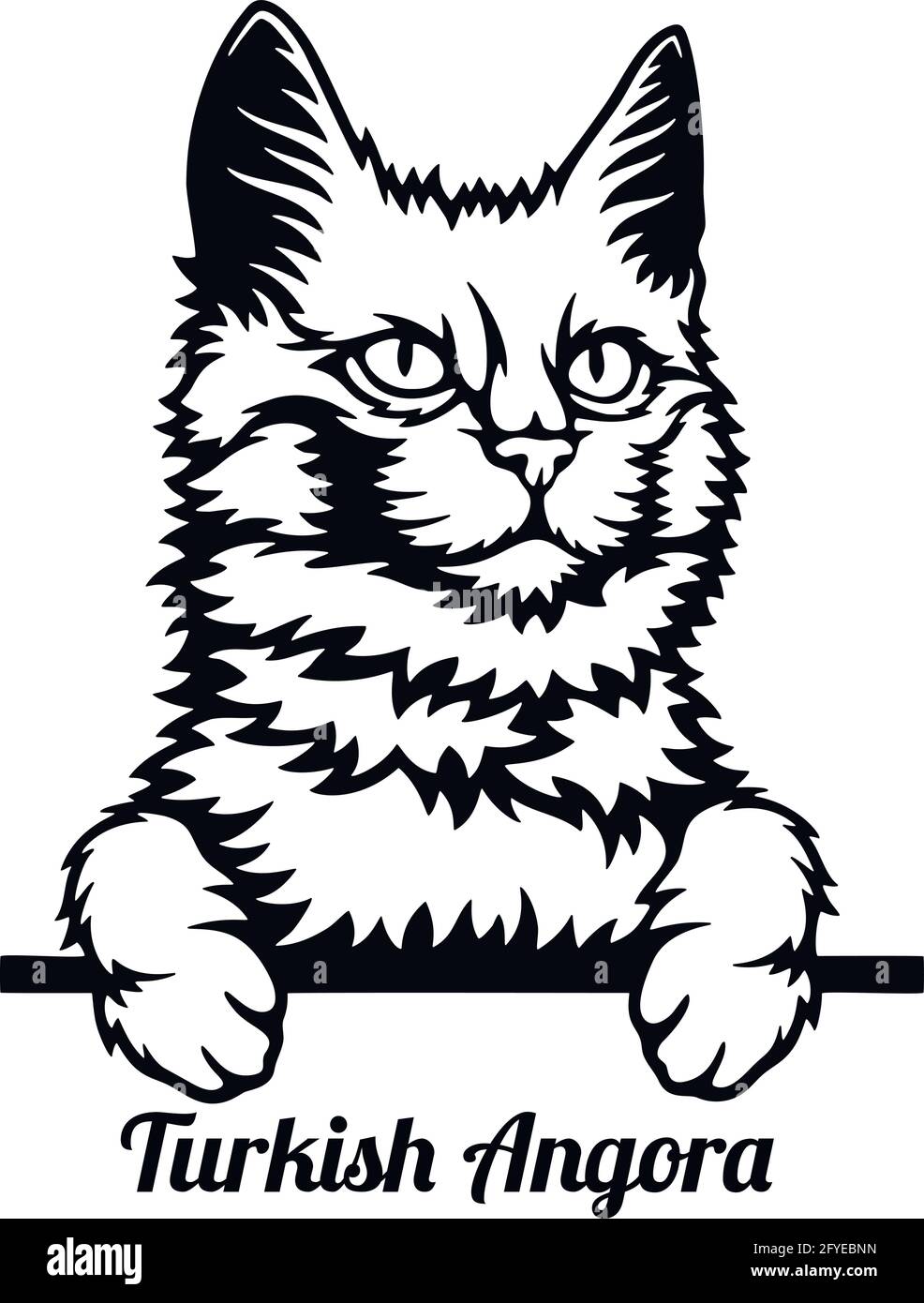 Chat D Angora Turc Race De Chat Tete De Race De Chat Isolee Sur Fond Blanc Vecteur Image Vectorielle Stock Alamy