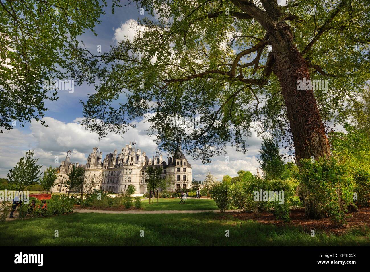 FRANCE. LOIR-ET-CHER(41) LE CHÂTEAU DE CHAMBORD, EMBLÈME DE LA RENAISSANCE FRANÇAISE À TRAVERS LE MONDE, EST UN SITE CLASSÉ AU PATRIMOINE MONDIAL DE L'UNESCO. JOYAU DE L'ARCHITECTURE Banque D'Images