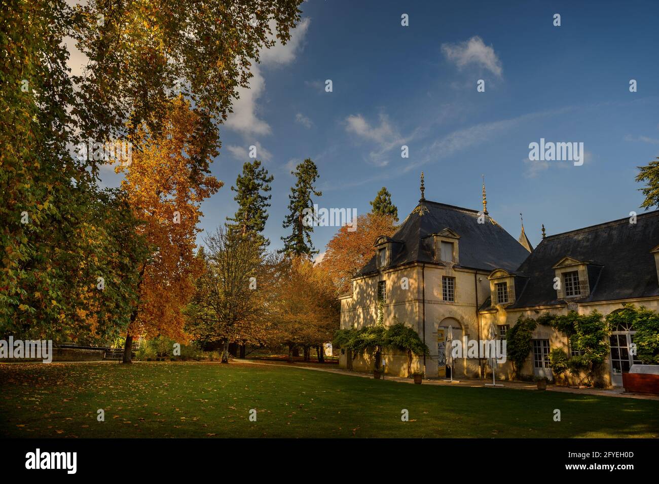 FRANCE. INDRE-ET-LOIRE (37) CHÂTEAU AZAY-LE-RIDEAU DU PARC Banque D'Images