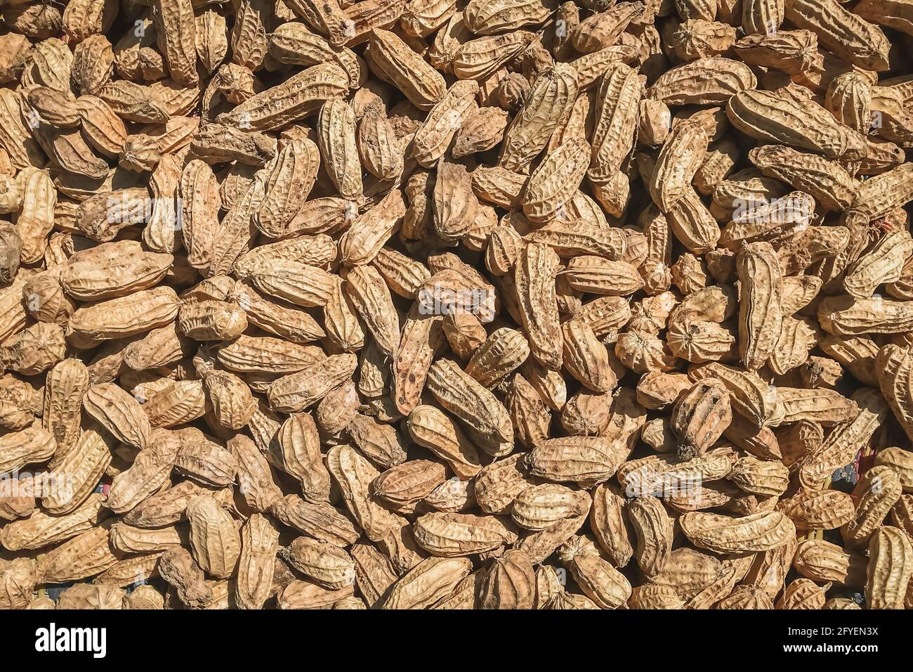 Vue de dessus de Peanuts (Arachis hypogaea). La nourriture. Banque D'Images