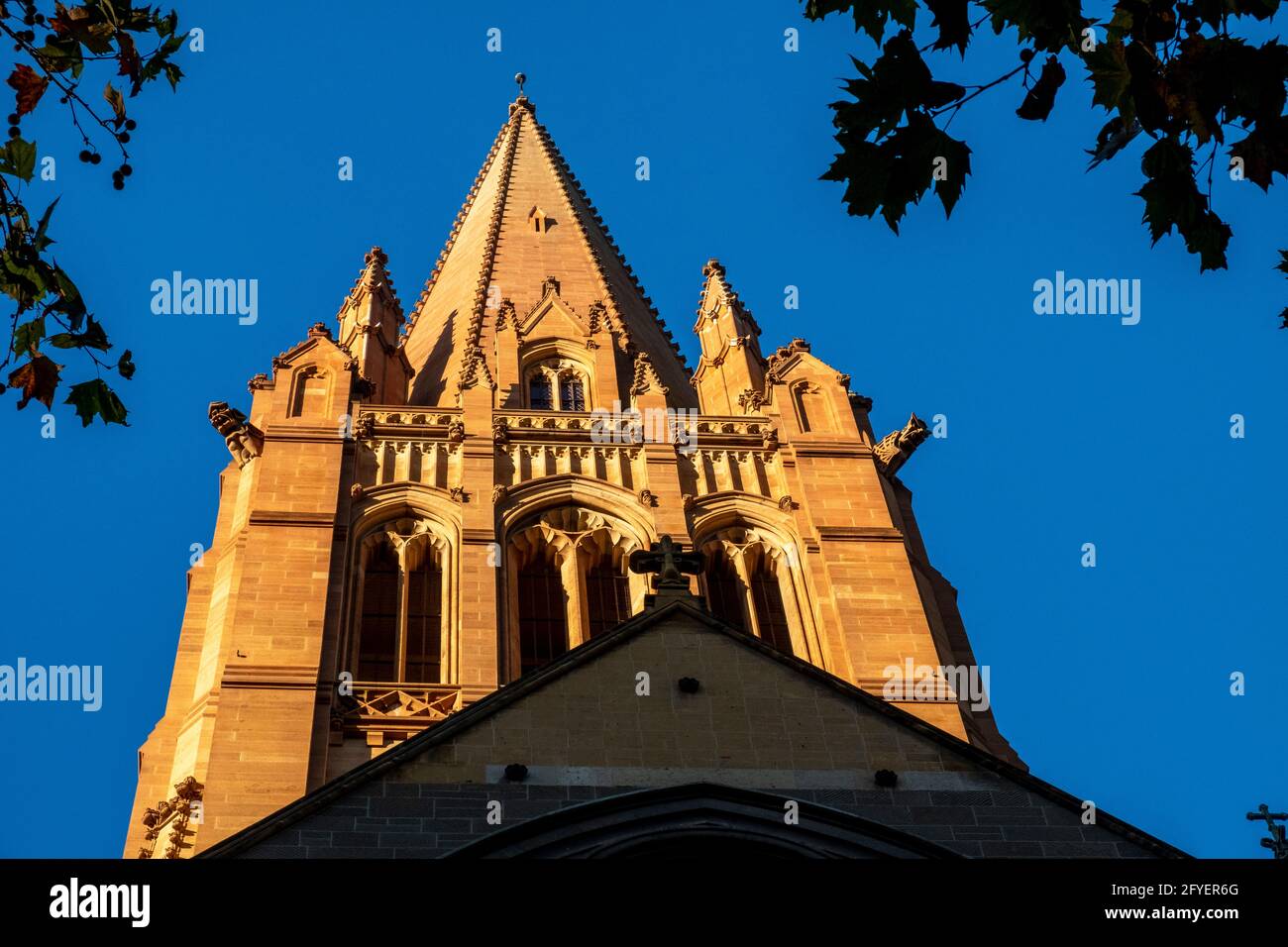 Cathédrale anglicane St. Paul's à Melbourne, Victoria, Australie Banque D'Images