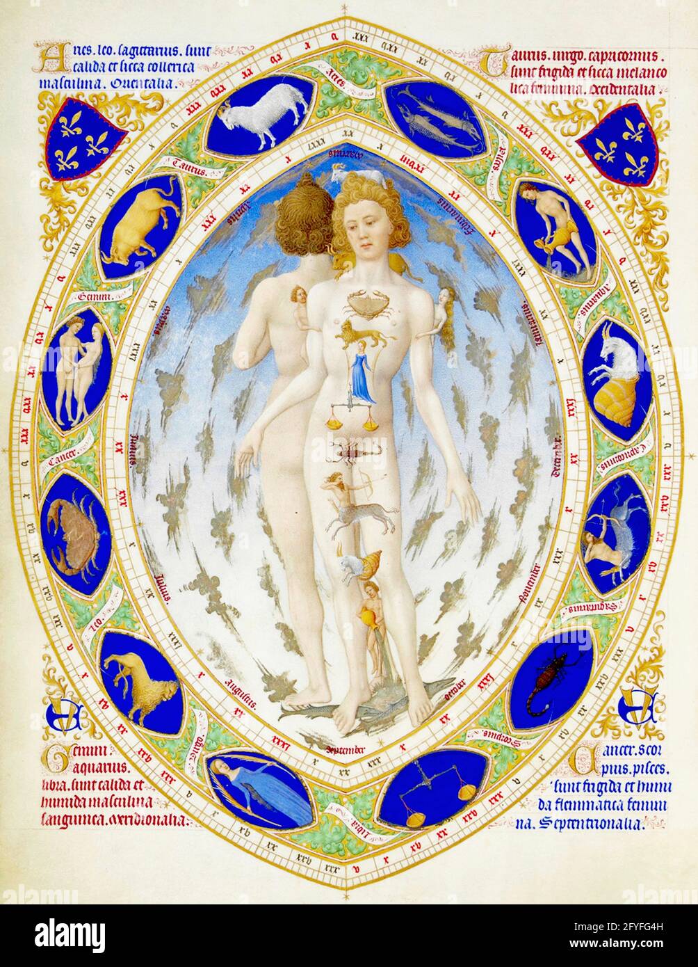 Homme du zodiaque - regardez les signes du zodiaque. Ils correspondent à chaque partie du corps - 1411-1416 Banque D'Images