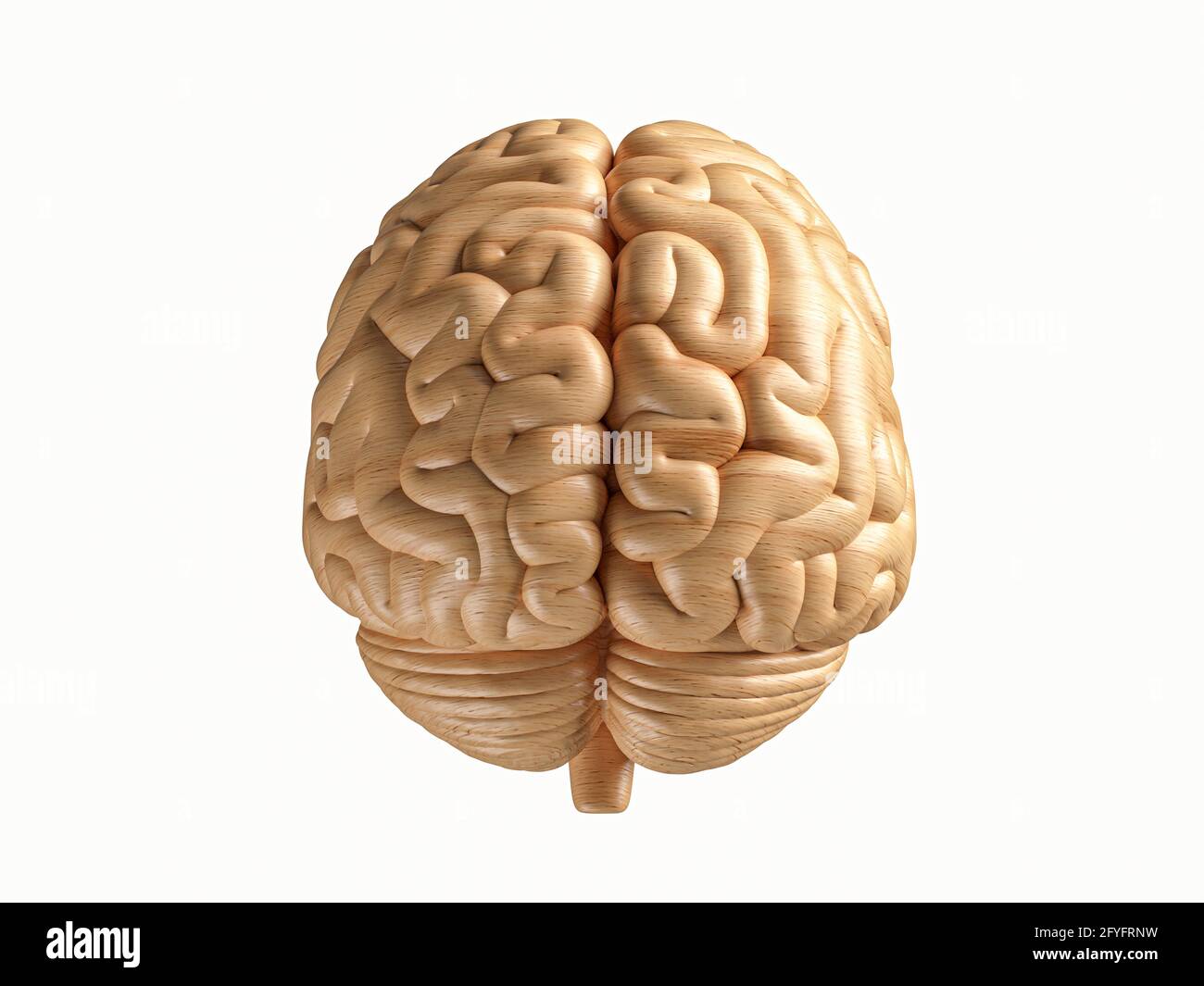 illustration 3d du cerveau humain en bois. Vue avant du cerveau humain en bois Banque D'Images