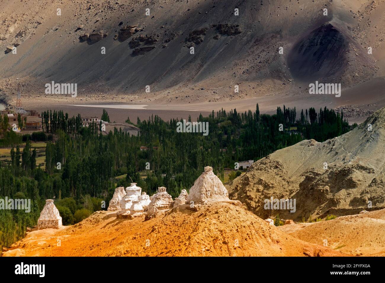 Stupas bouddhiste et montagnes de l'Himalaya paysage du Ladakh, territoire de l'Union, Inde. La plupart des personnes dans le Ladakh beleives dans le bouddhisme. Banque D'Images