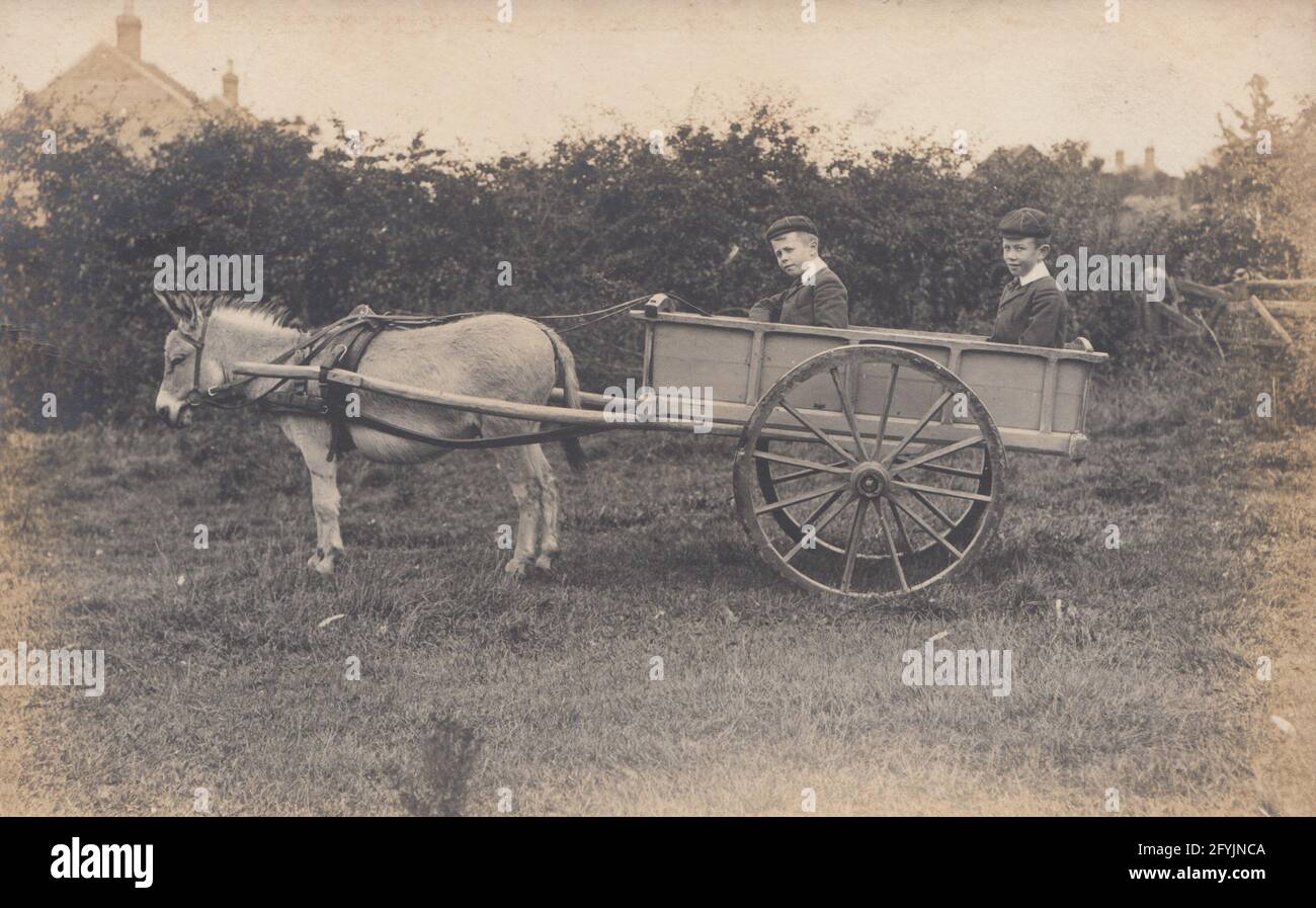 Carte postale édouardienne montrant deux jeunes garçons d'école assis dans un chariot à âne. Banque D'Images
