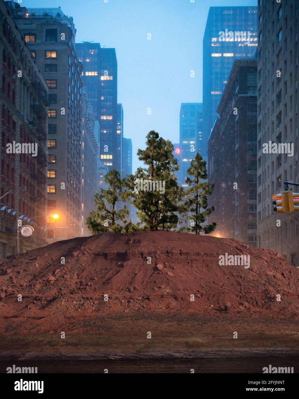 Arbre poussant dans un tas de terre au milieu de la route, Manhattan, New Yworks, États-Unis Banque D'Images