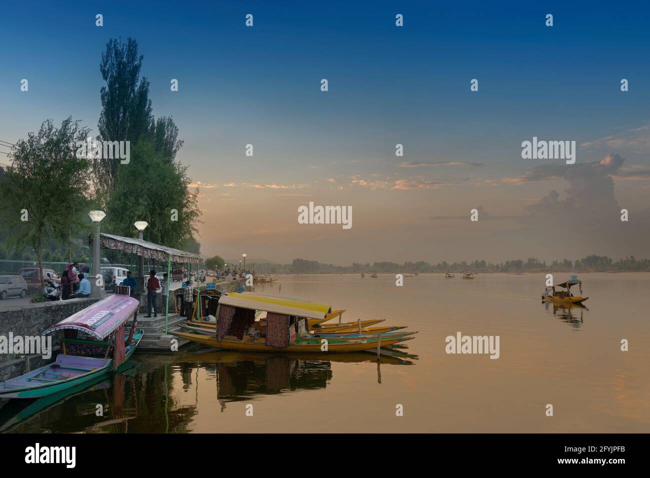 SHREE NAGAR, JAMMU-ET-CACHEMIRE , INDE - 31 AOÛT 2014 : beau lac Dal après le coucher du soleil, bateaux à moteur flottant sur l'eau avec le ciel du soir à l'arrière Banque D'Images