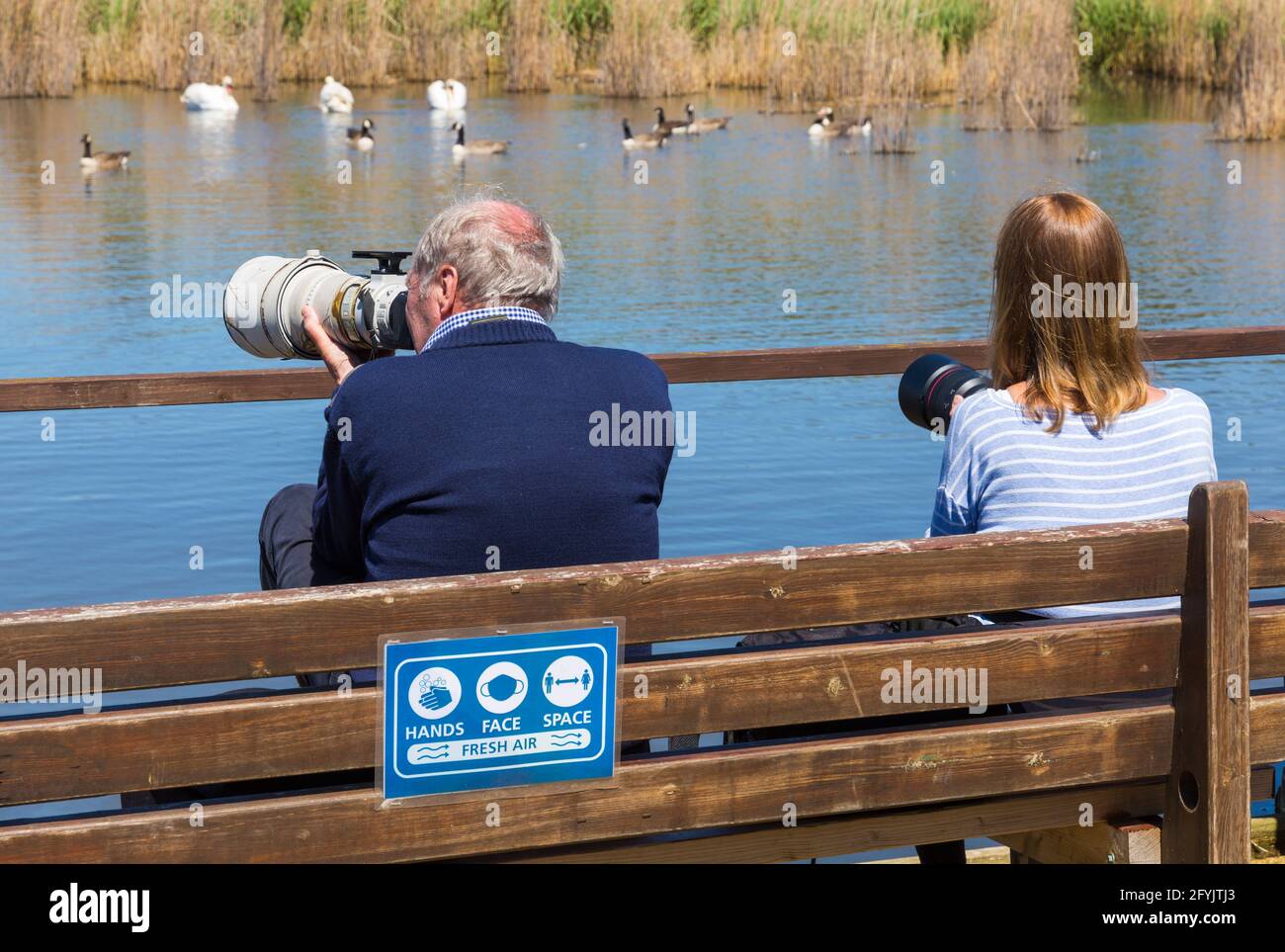 Les photographes du Swannery d'Abbotsbury, Abbotsbury, Dorset, Royaume-Uni, en mai, rappellent l'espace à la main alors que swannery rouvre avec la levée des restrictions Covid Banque D'Images