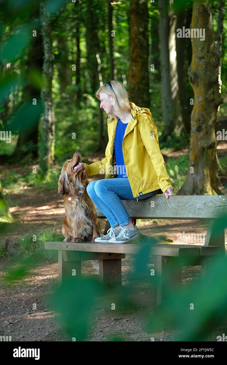 Femme en train de se détendre, assise sur un banc dans une forêt avec son chien d'épagneul cocker Banque D'Images