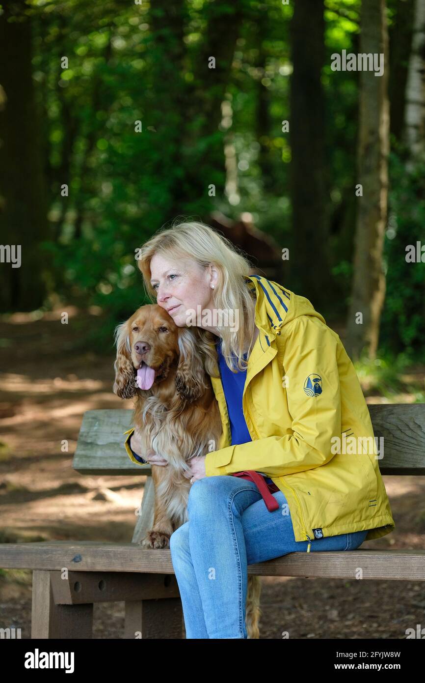 Femme en train de se détendre, assise sur un banc dans une forêt avec son chien d'épagneul cocker Banque D'Images