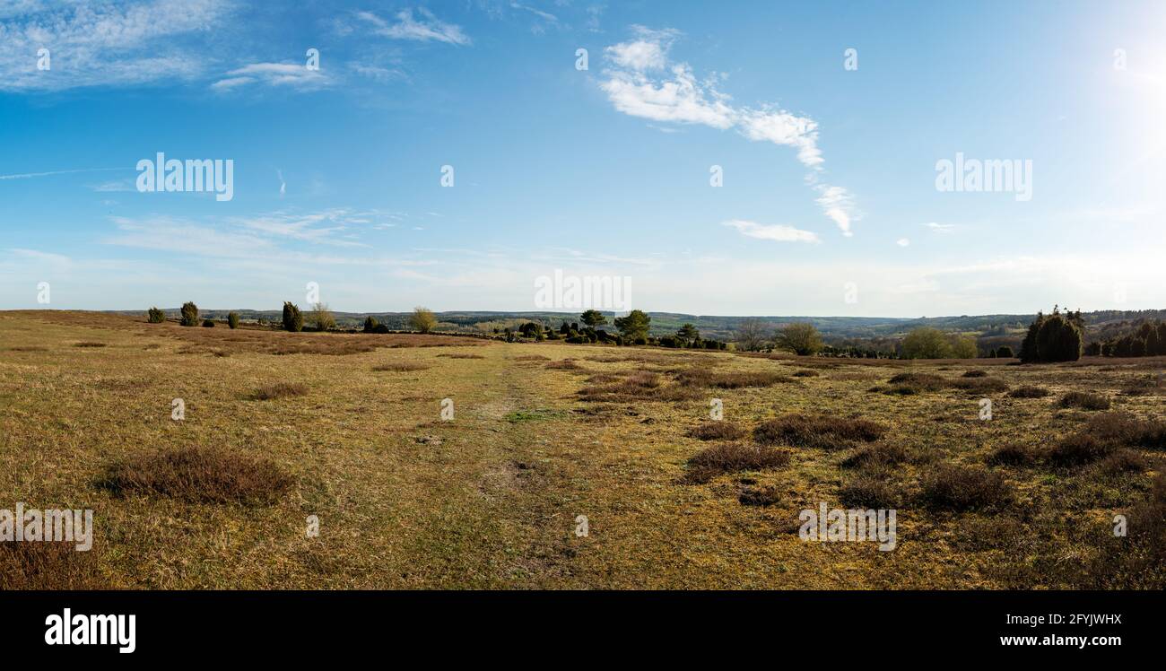 Vue panoramique sur le paysage de la campagne et le sentier à travers le champ vide dans la réserve naturelle. Photo prise sur les collines de Brosarp à Skåne, Suède. Banque D'Images