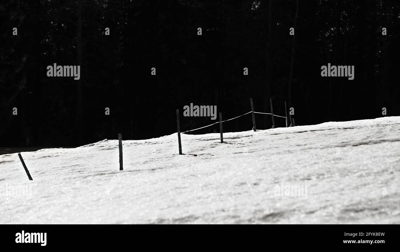 Photo monochrome d'une clôture rurale sur un pré enneigé. Banque D'Images